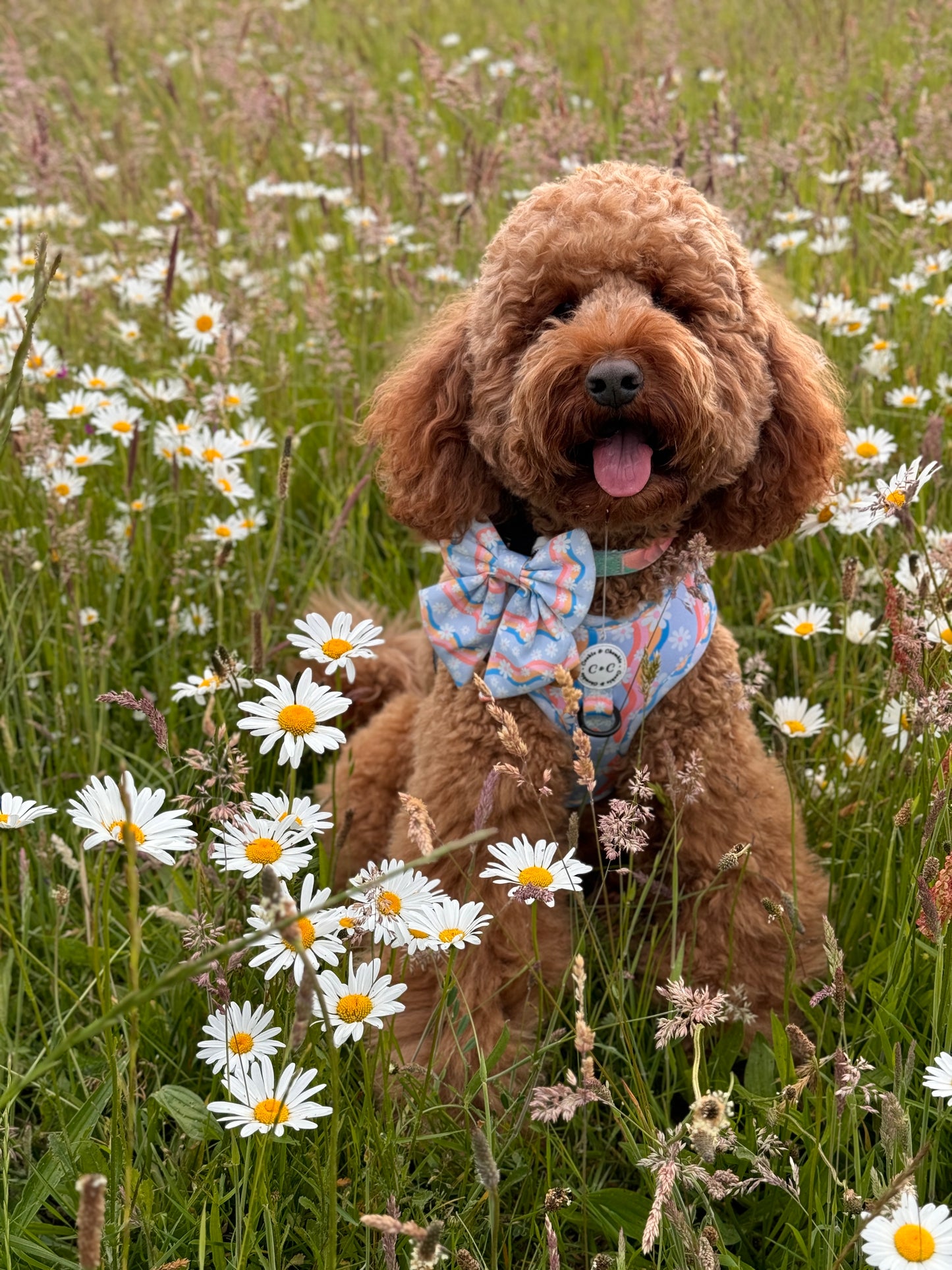 Adjustable Harness - 'Groovy Blooms'