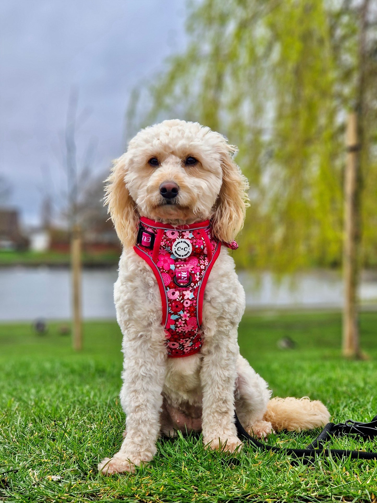 Adjustable TUFF Harness - 'On Chewsdays, We Wear Pink'