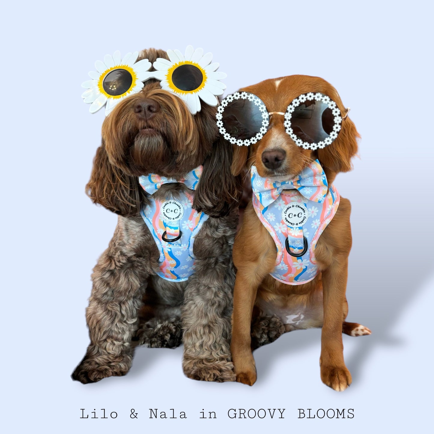 Bow Tie - 'Groovy Blooms'