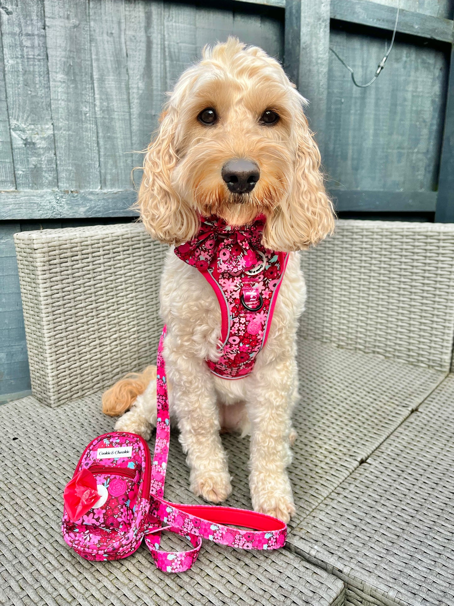 Adjustable TUFF Harness - 'On Chewsdays, We Wear Pink'