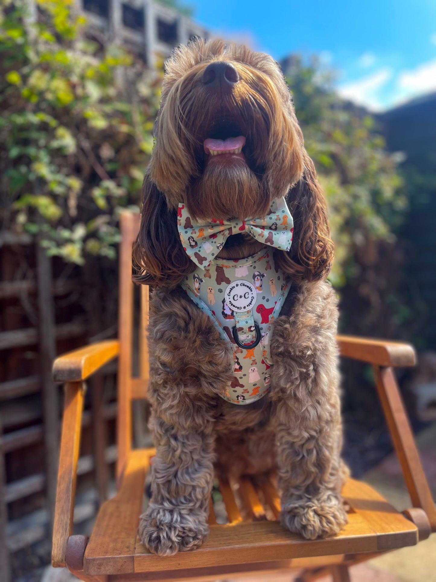 Bow Tie - 'Doodle Tales'