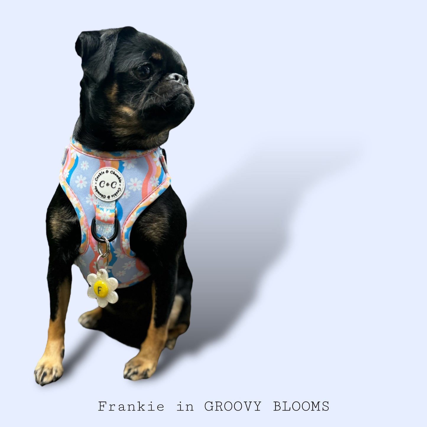 Adjustable Harness - 'Groovy Blooms'