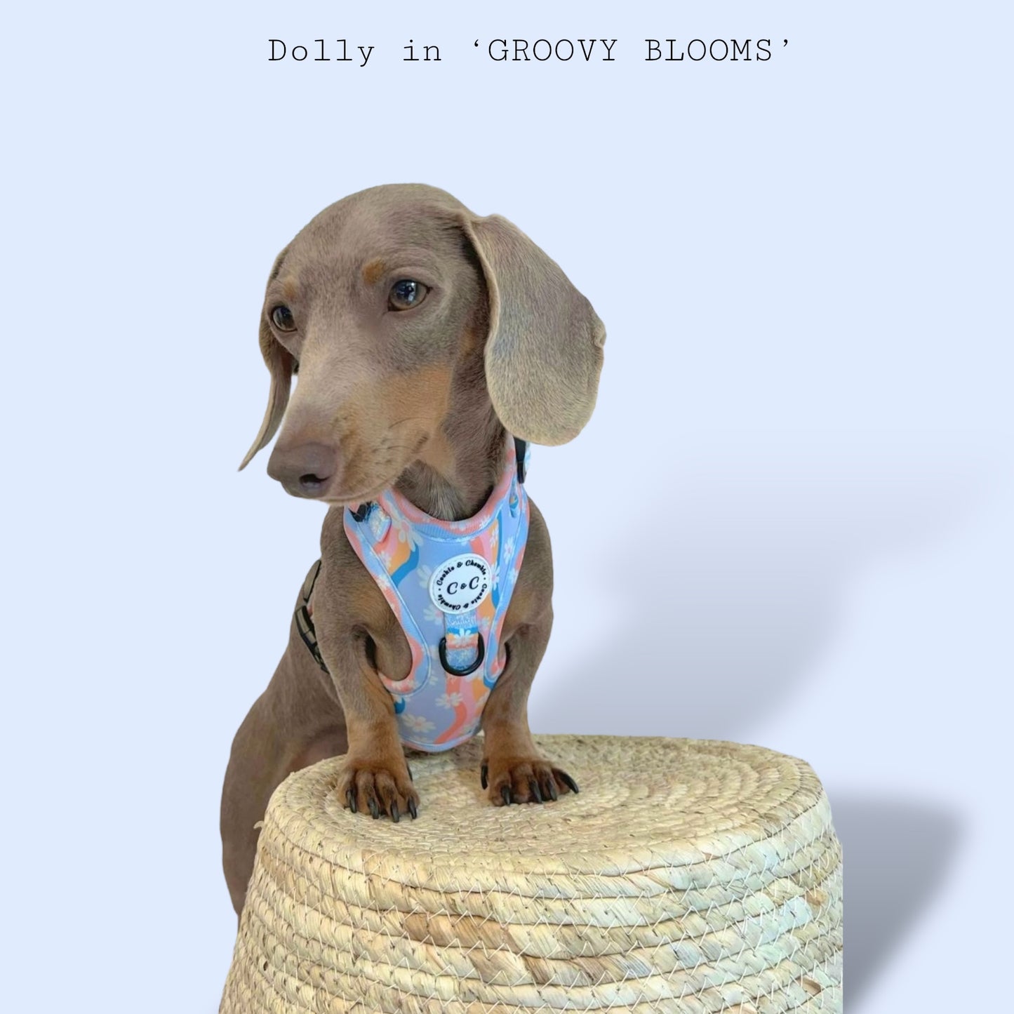 Adjustable Harness - 'Groovy Blooms'