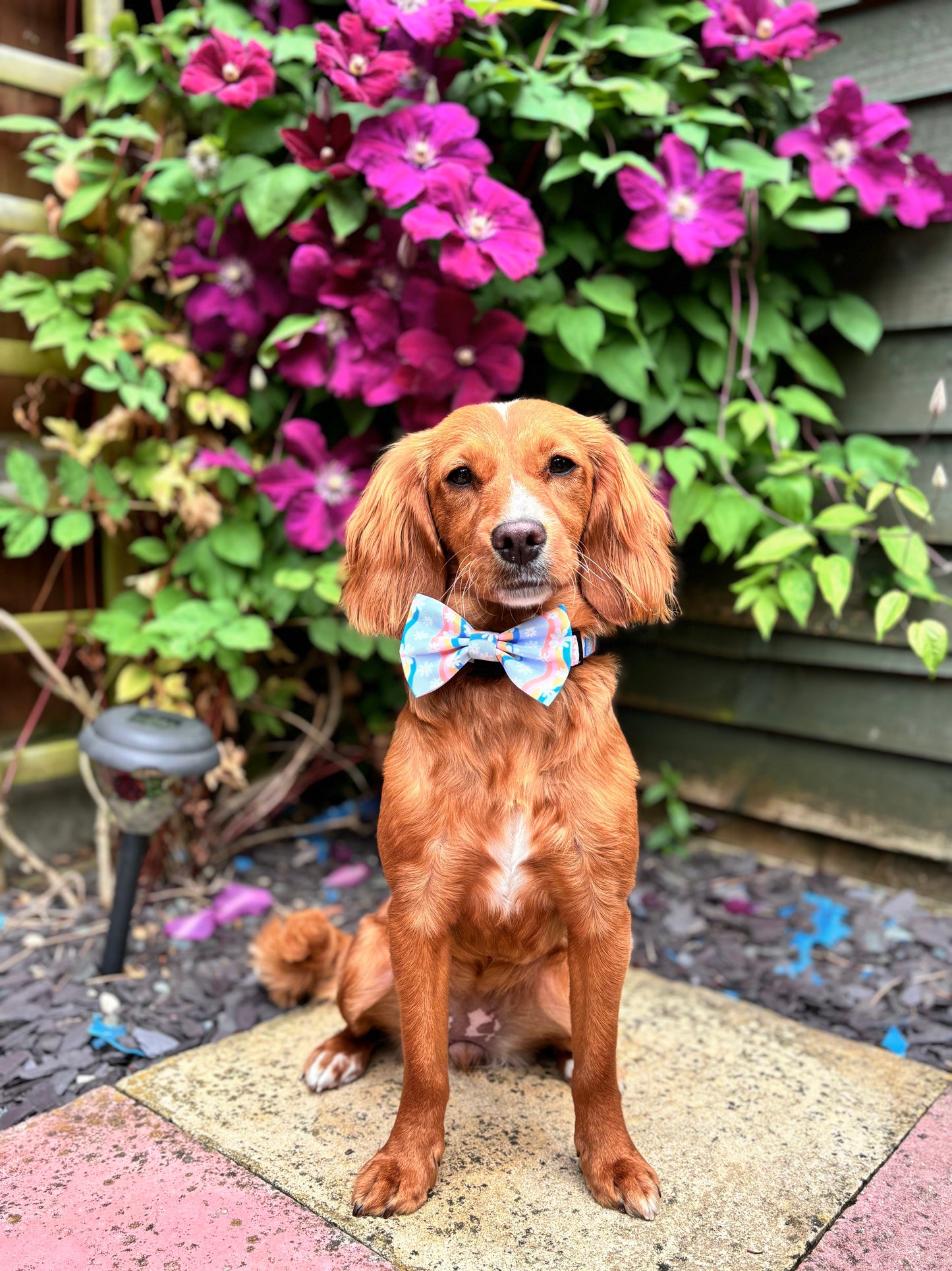 Bow Tie - 'Groovy Blooms'