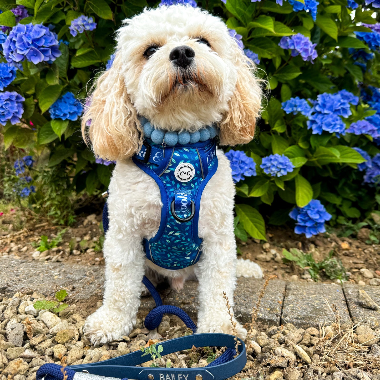 Adjustable TUFF Harness - 'Don't Stop Be-Leafing'