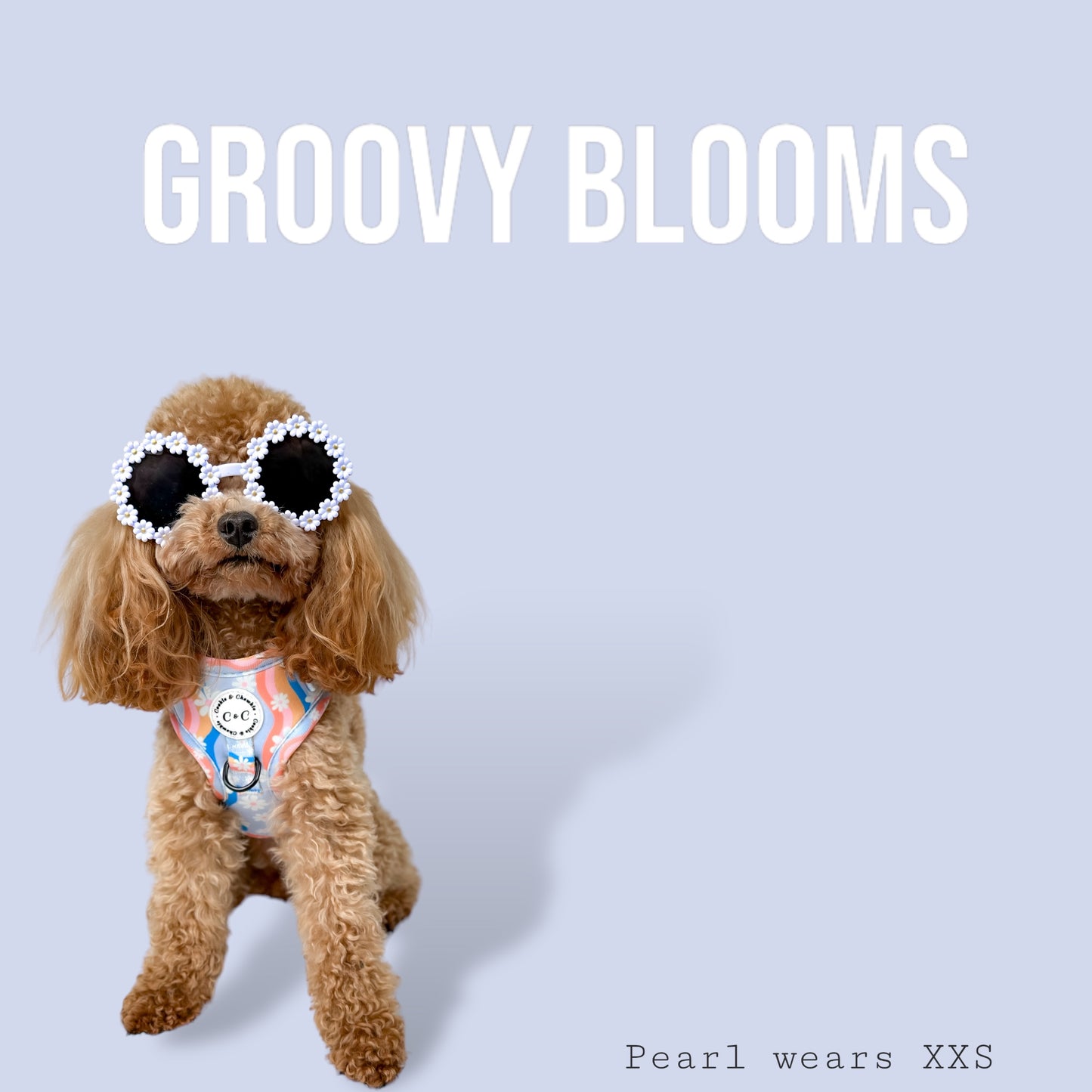 Adjustable Harness - 'Groovy Blooms'