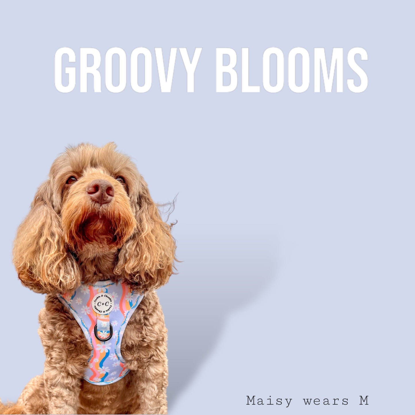 Adjustable Harness - 'Groovy Blooms'