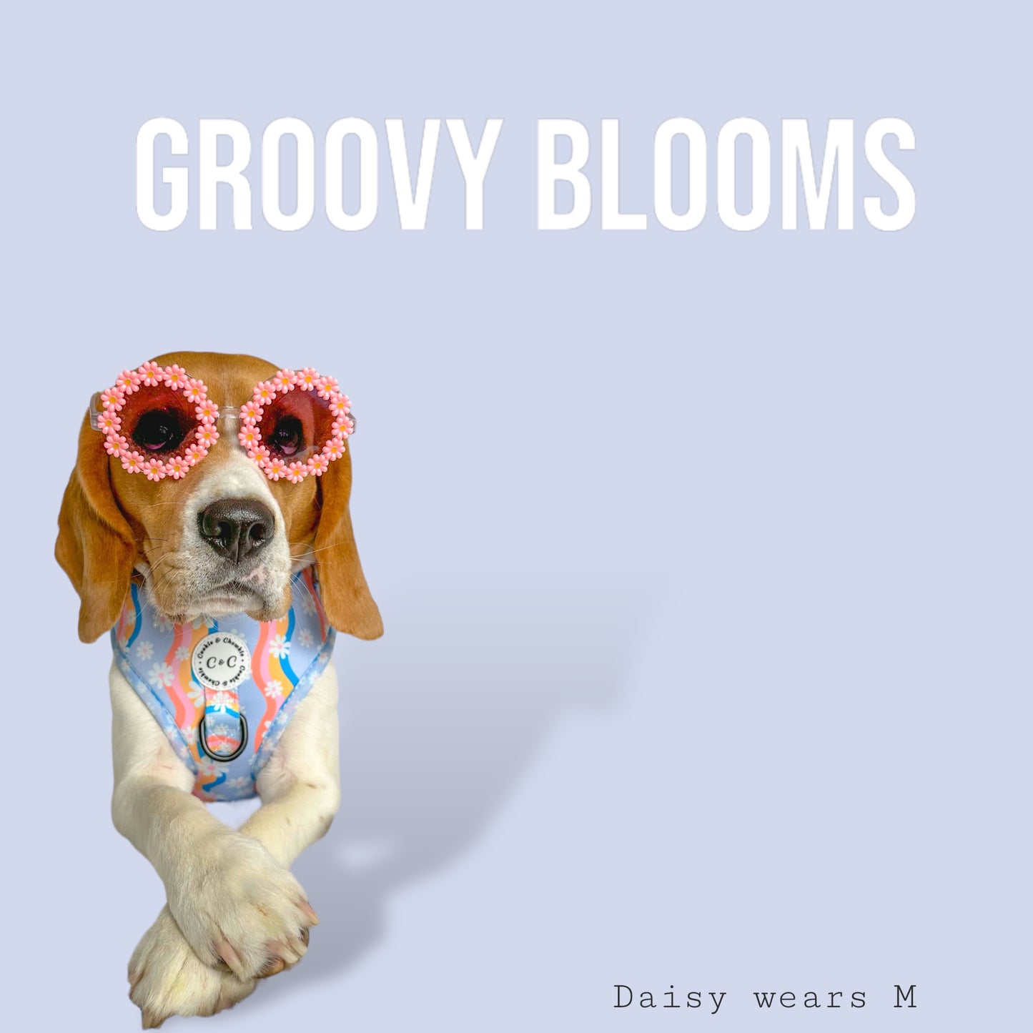 Adjustable Harness - 'Groovy Blooms'