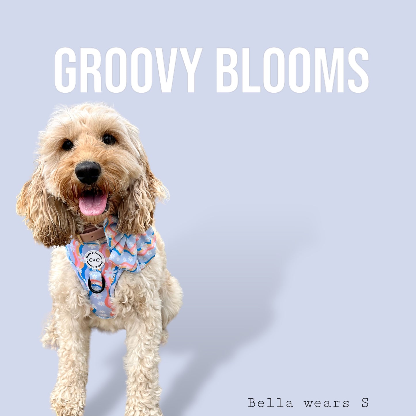 Adjustable Harness - 'Groovy Blooms'