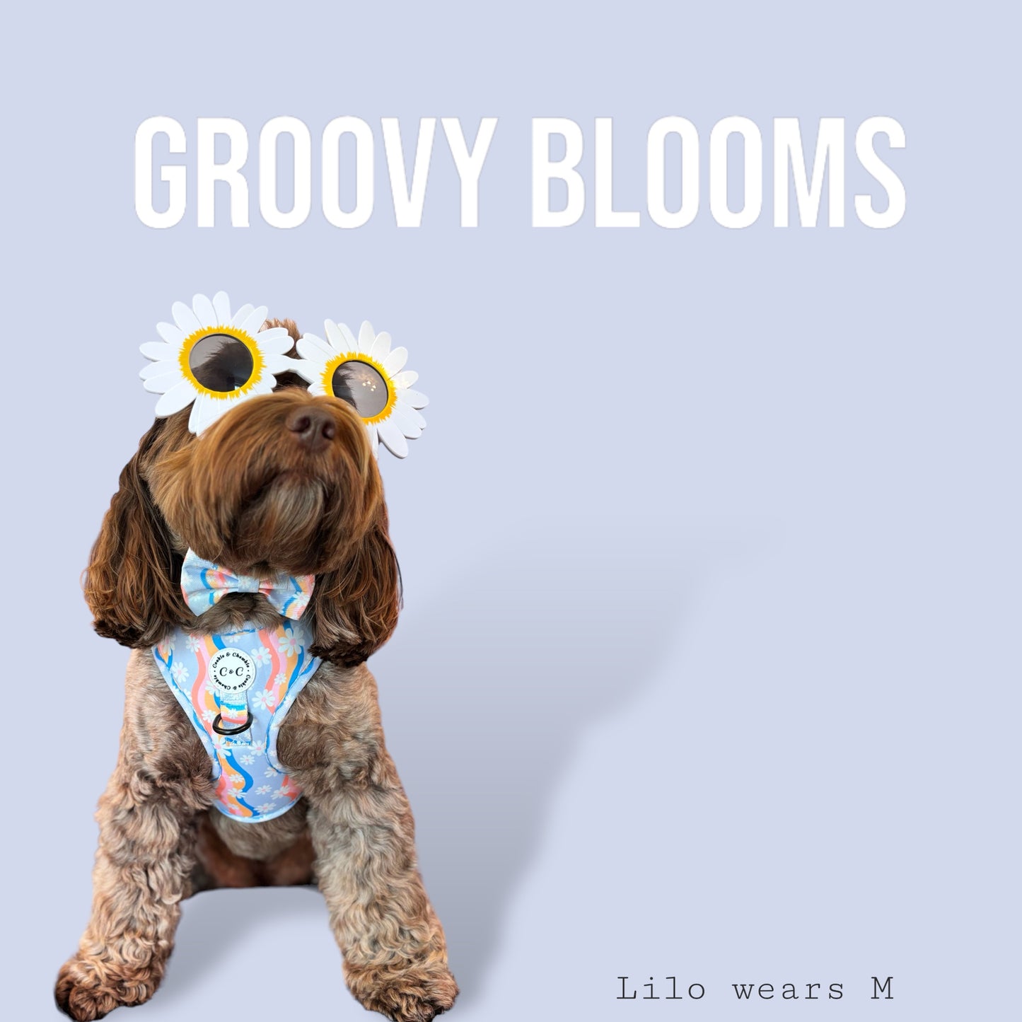 Adjustable Harness - 'Groovy Blooms'