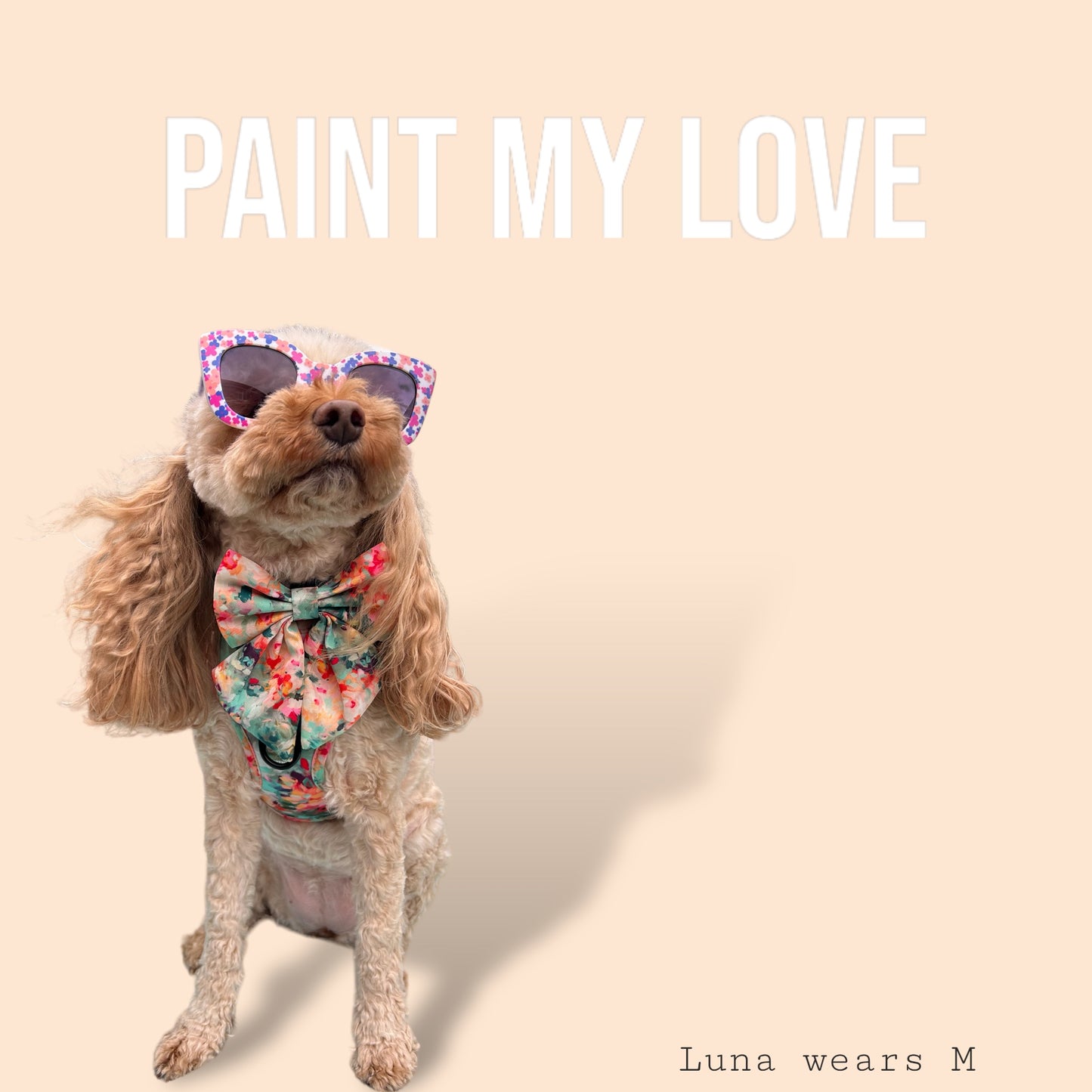 Adjustable Harness - 'Paint My Love'