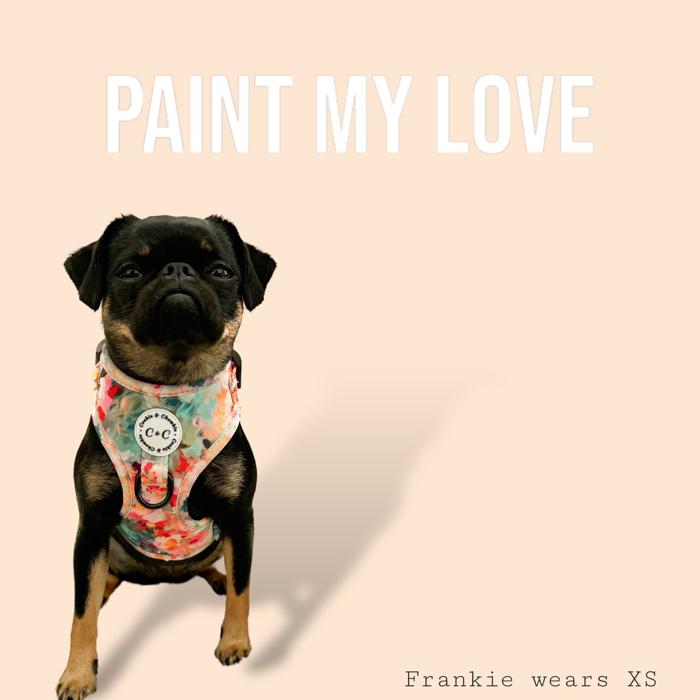 Adjustable Harness - 'Paint My Love'