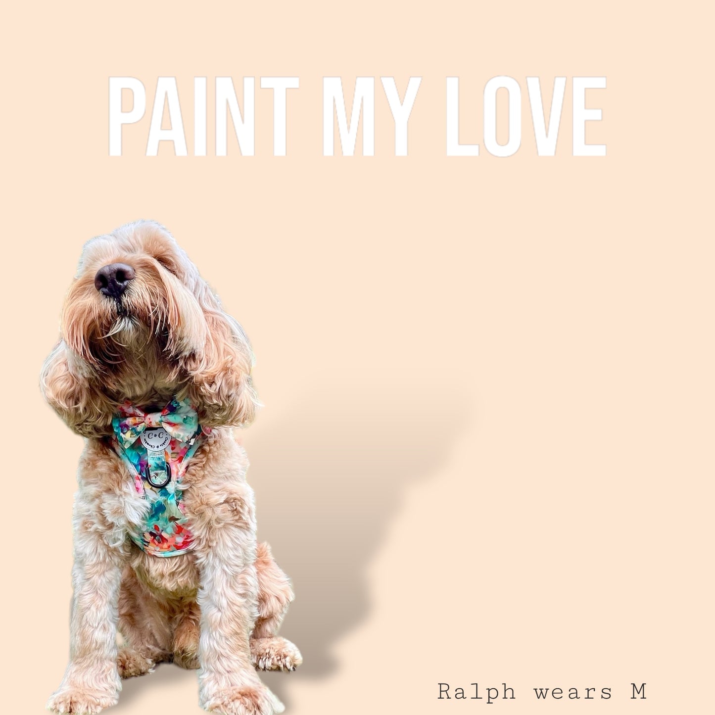 Adjustable Harness - 'Paint My Love'