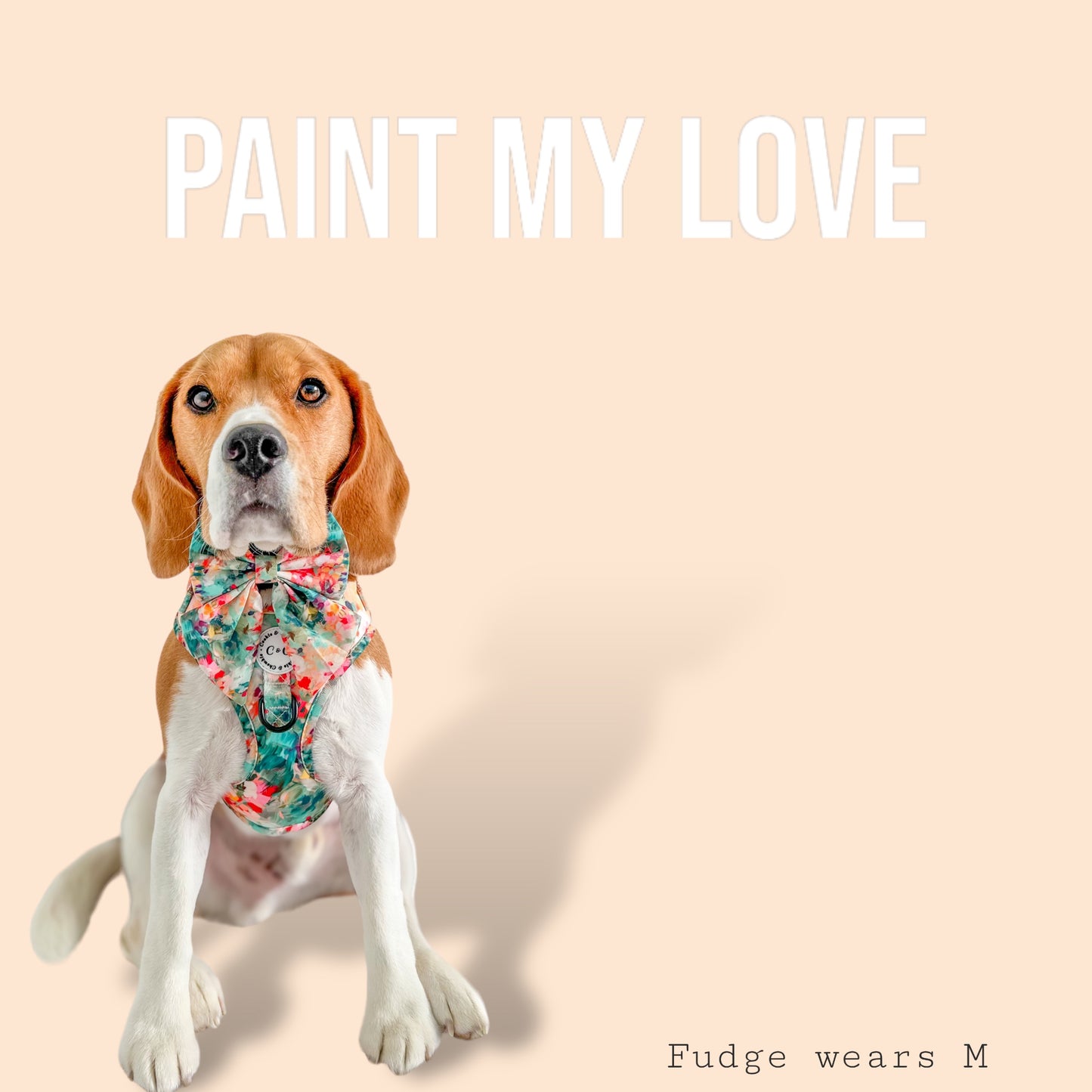 Adjustable Harness - 'Paint My Love'