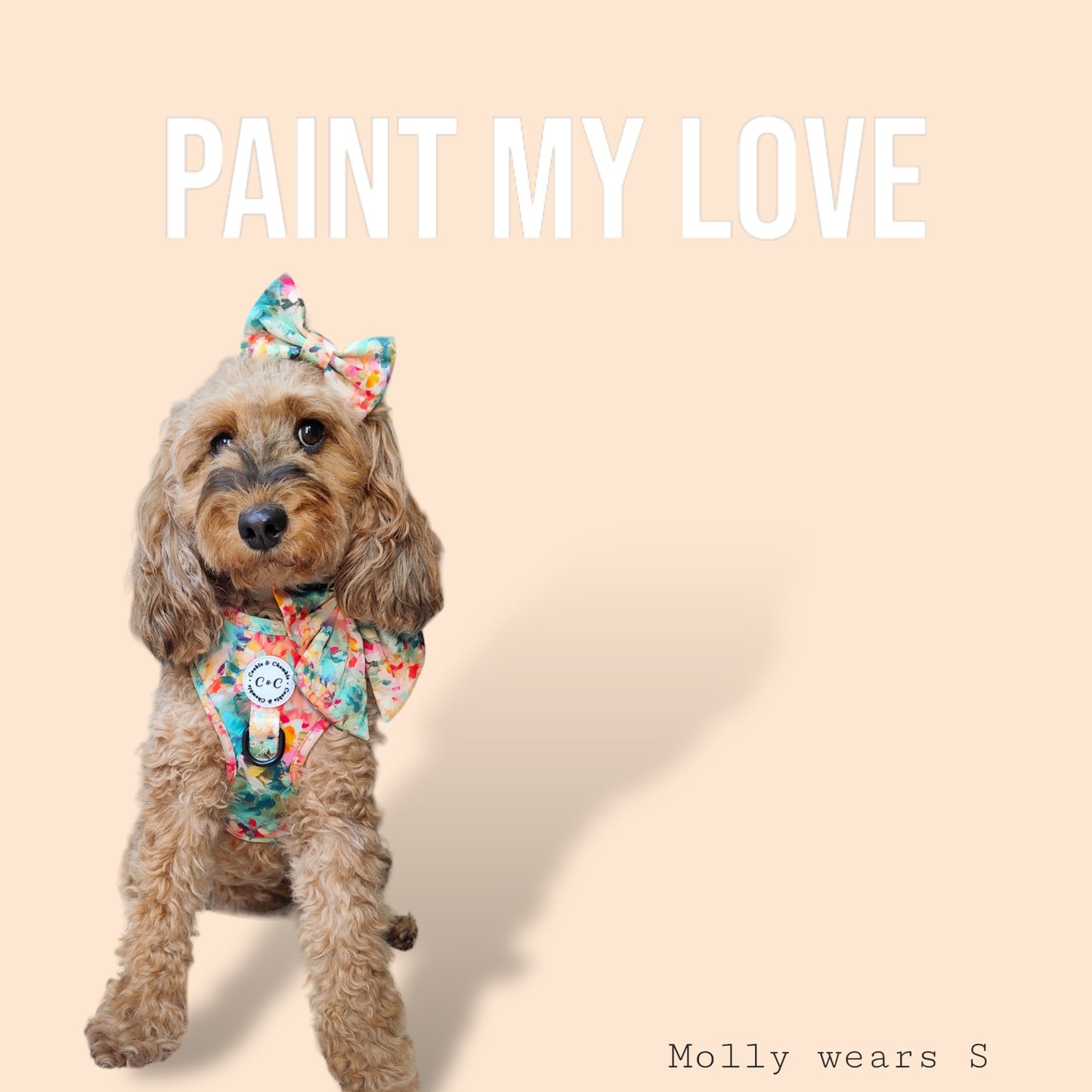 Bow Tie - 'Paint My Love'