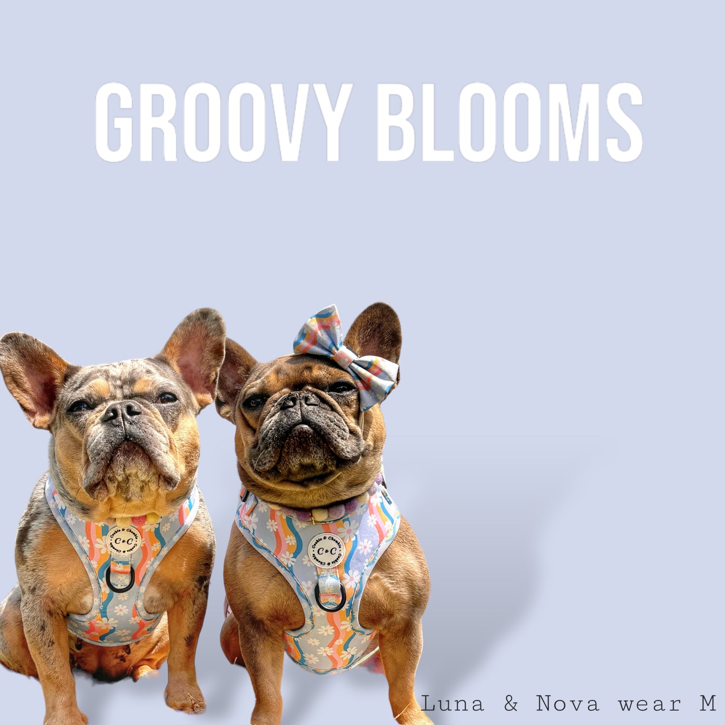 Adjustable Harness - 'Groovy Blooms'