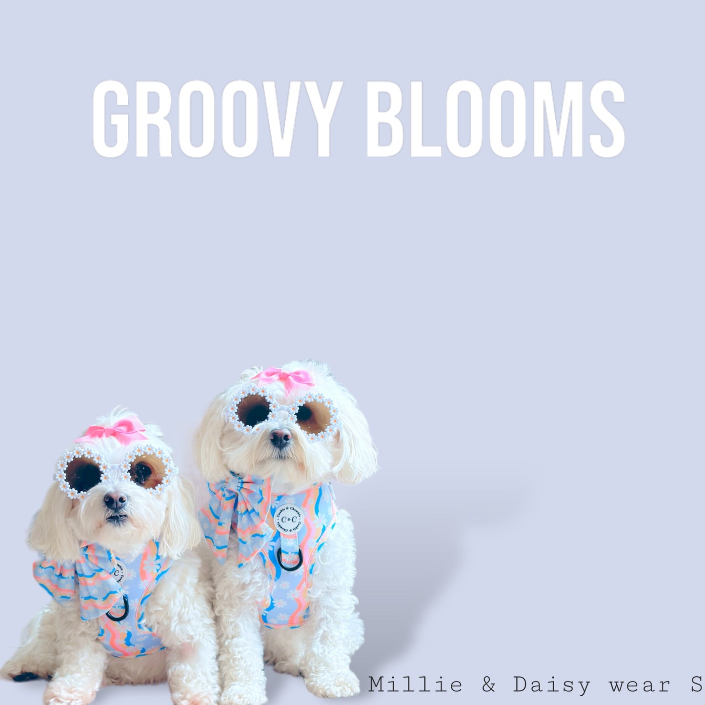 Adjustable Harness - 'Groovy Blooms'